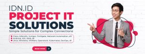 IT Project Consultant