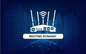 routin dynamic